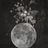 denise_michelle_pothier_fortin_35